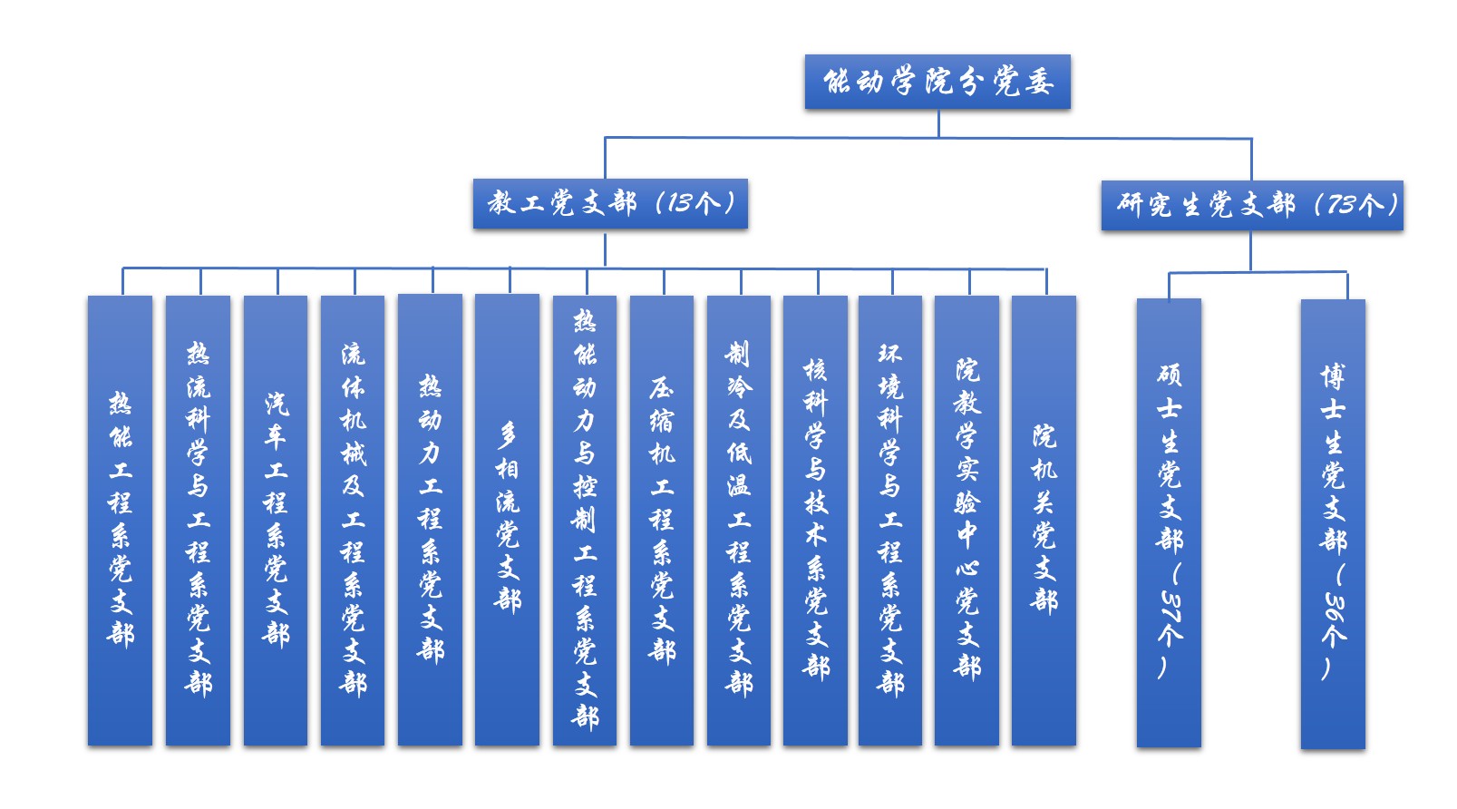美女直播