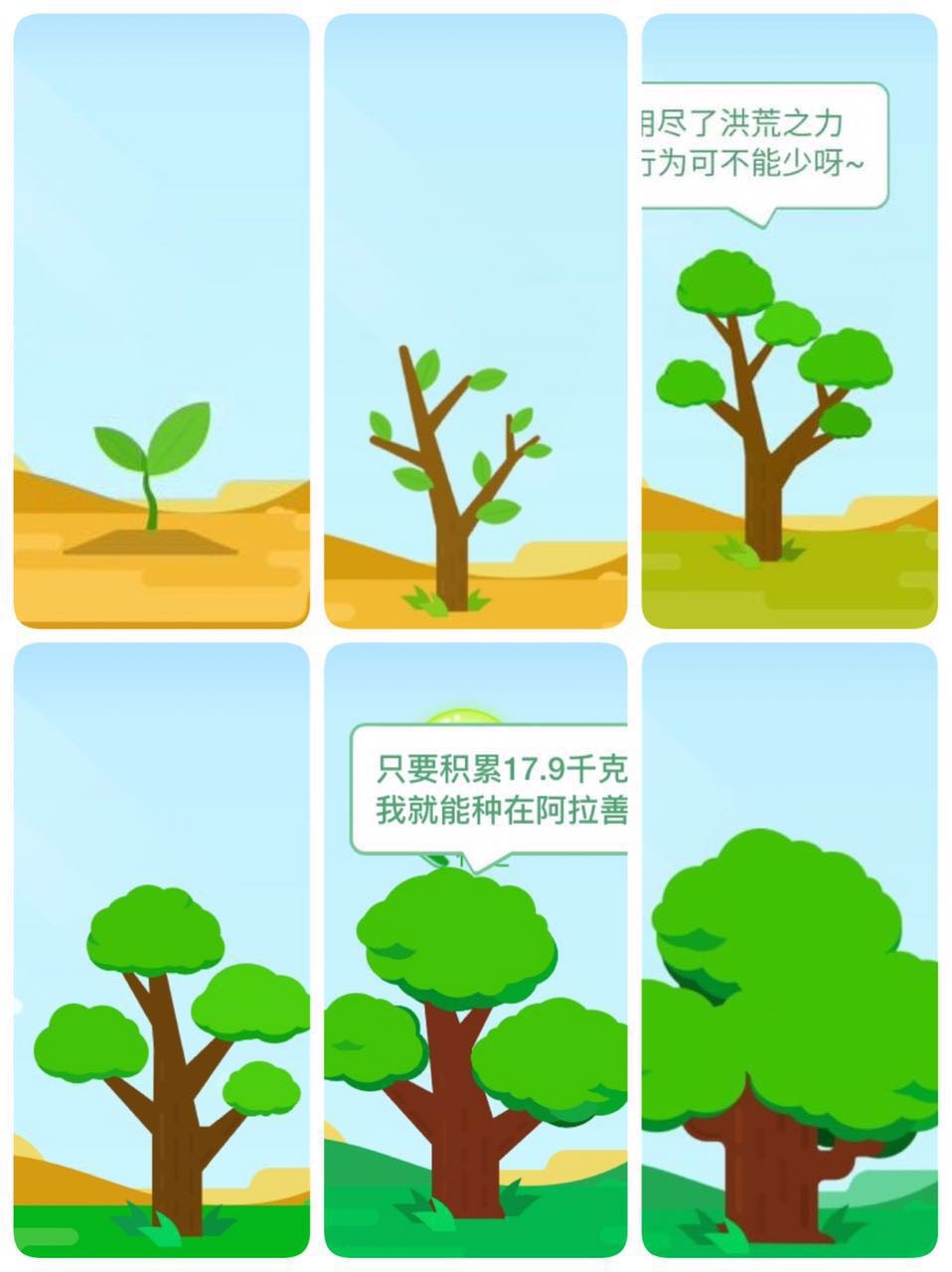 美女直播